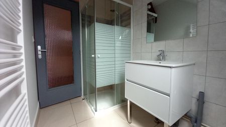 Location Appartement 2 pièces 46m² VILLENEUVE SUR YONNE 89500 - Photo 3