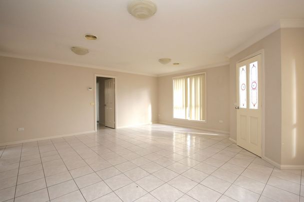 MORE ON MORRISSET - Photo 1