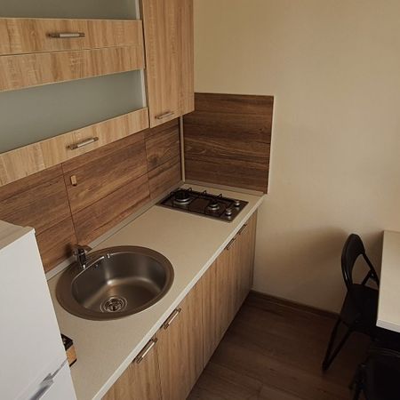 Apartment for rent in Cluj-Napoca, 5 minutes walk from the University of Medicine and Pharmacy and 7 minutes walk from the University of Agricultural Sciences and Veterinary Medicine, consisting of a living-room, a kitchen and one bedroom, on Pastorului street - Fotografie 3