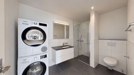 Exklusive 3.5-Zimmer-Attikawohnung im Erstbezug mit 98 m² Sonnenterrasse - Foto 4