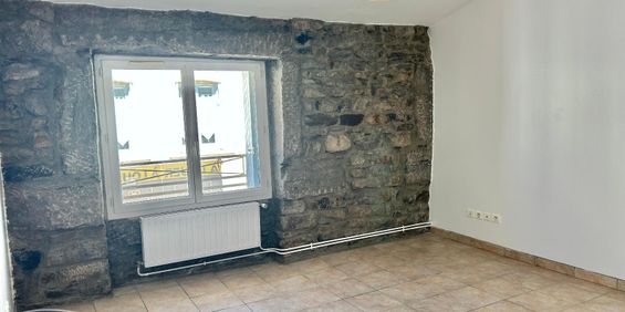 Location Appartement 3 pièces 50m² ST ETIENNE 42000 - Photo 3