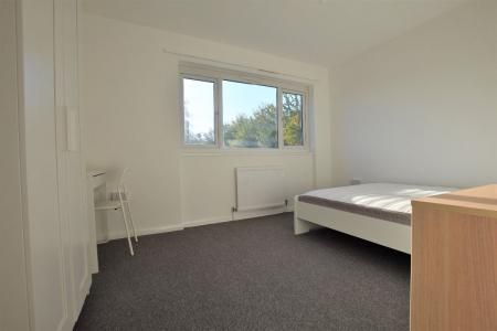 4 Bedroom Student Home -UKC - 53 Downs Rd - Photo 1