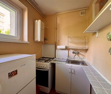 Przytulne mieszkanie blisko Starego Miasta - Photo 3