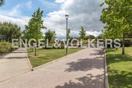 Ático de alquiler en Avenida Principe de Asturias, Zona Monte El Pilar - Photo 3