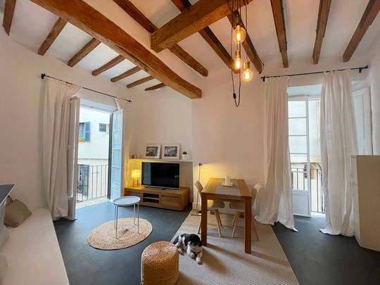 Bonito estudio-apartamento amueblado en zona Santa Clara, casco antiguo de Palma. - Photo 1