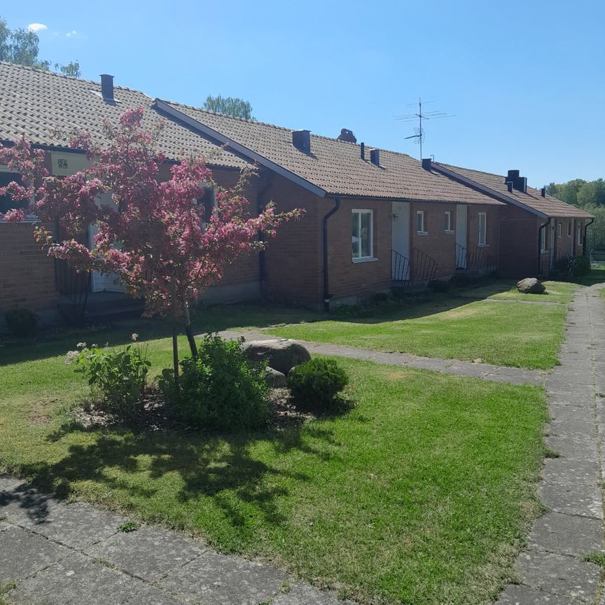 Småkullavägen, Larv - Foto 2