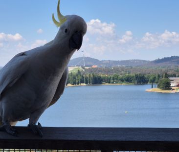 Canberra CBD - Photo 6