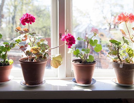 Kinnekullegatan, Skara - Foto 1