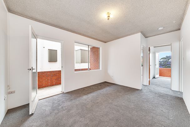 1/93 Wentworth Street, Randwick NSW 2031 - Apartment For Rent | Domain - Photo 1