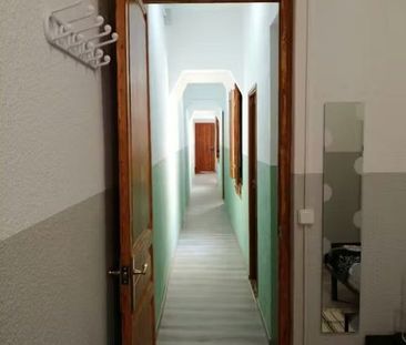 Carrer de Ferlandina, Barcelona, Catalonia 08001 - Photo 6