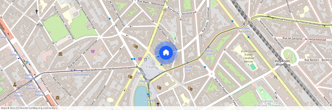 Rue des Cygnes, 9, 1050, Ixelles