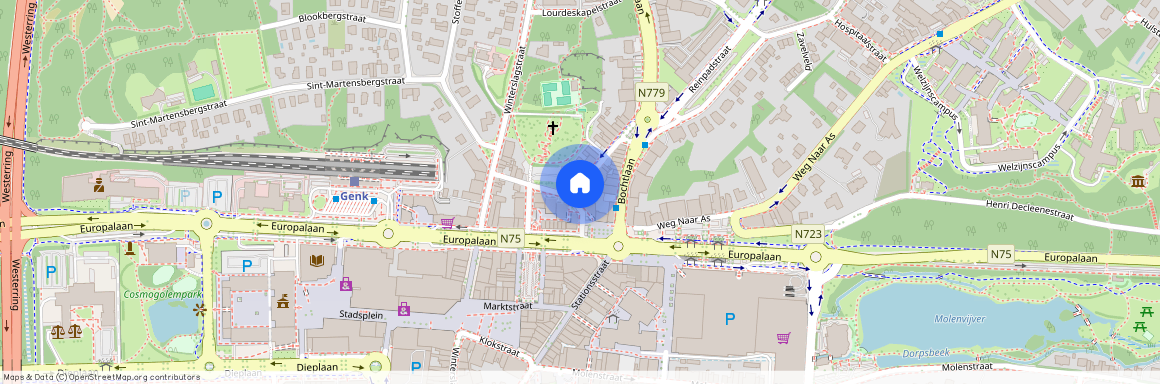 Pastoor Raeymaekersstraat 2/1.1, 3600, Genk