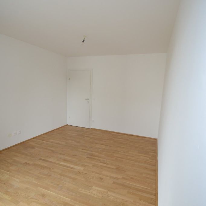 Zentrum – 66m² – 3 Zimmer WG oder Pärchenwohnung – großer Süd-Balkon - Photo 1