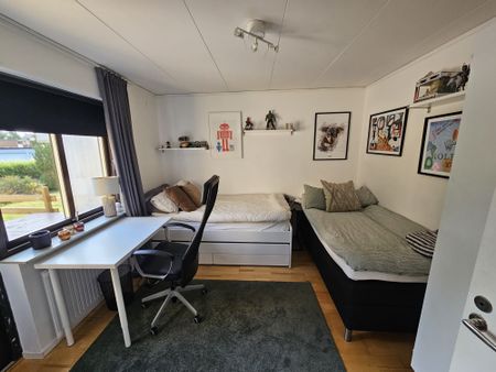 Tranbärsstigen, Strängnäs - Photo 4