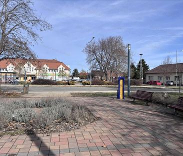 Kiadó jó állapotú lakás - Szolnok - Photo 4