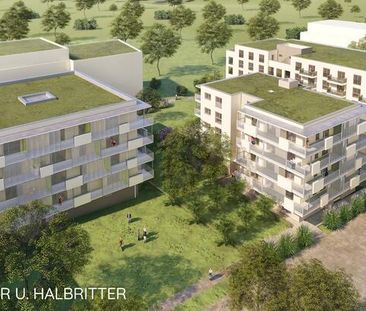 Stiege 6 / TOP 2 - Foto 1