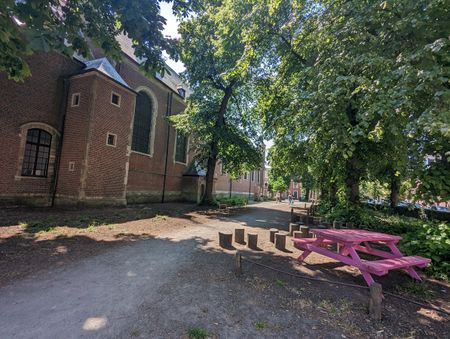 ruime gemeubelde kamer in hartje Gent vlakbij het begijnhof - Foto 5