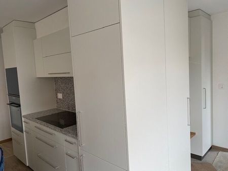 3.5-room apartments for rent at Posatweg 2 in Courgevaux - Photo 3