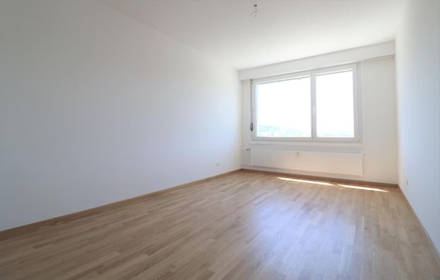 130 m2 mit Cheminée / 130 m2 avec Cheminée - Photo 1