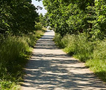 2 værelses lejlighed - Photo 1