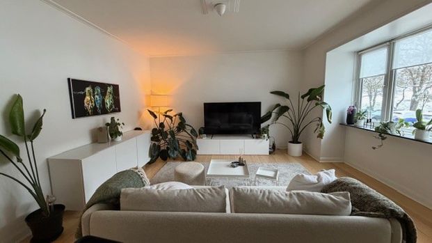 Kongsvang Alle 8, st. th. 8000 Aarhus C - Photo 1