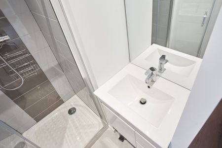 SIVRY T Roommate 3 Bedrooms at Nancy - Photo 4