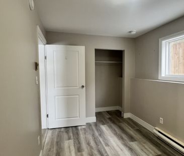 56C CHADWICK STREET | 3 BR 1 BATH LOWER LEVEL UNIT | $1895 AVAILABL... - Photo 5