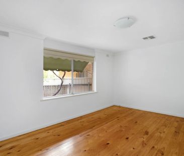 4/20 Kingston Avenue, - Photo 5