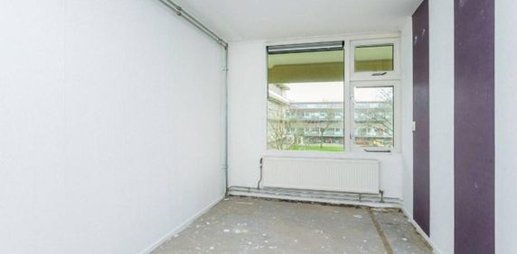 Rietzangerstraat, 3815 EE Amersfoort, Nederland - Foto 2