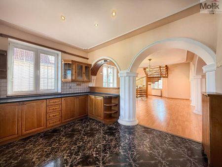 Pronájem bytu atypický 256 m2 - Fotografie 5