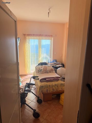 Μονοκατοικία 126 τ.μ. προς ενοικίαση - Photo 3
