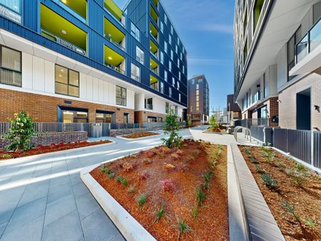 142/7 Letitia Street, Zetland NSW 2017 - Apartment For Rent | Domain - Photo 3