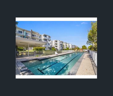 8 Starling Starling Street, Buderim, Qld 4556 - Photo 2