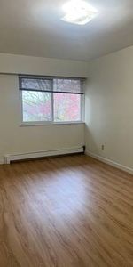 Renovated 1Bed1Bath Apartment suite in the heart of Kerrisdale - Photo 3