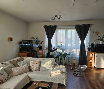 Van Roomenstraat - Photo 2