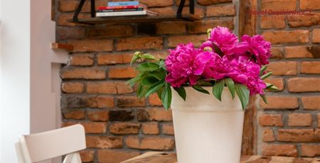 Bielsko-Biała, Centrum Mieszkanie na wynajem - Zdjęcie 4