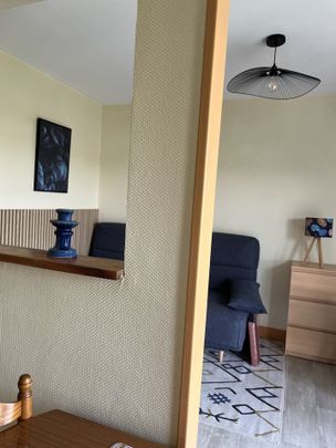 Location Appartement 1 pièce 25m² ORLEANS 45100 - Photo 1