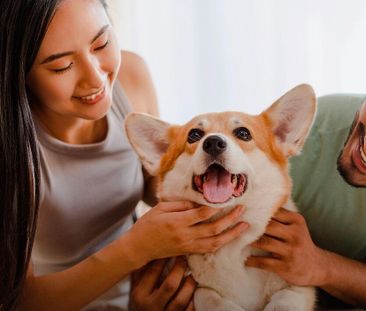 3555 Rue Saint-Antoine Ouest, Westmount, QC - Photo 1