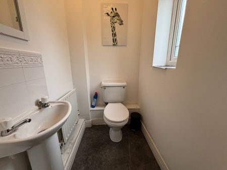 1 bedroom house share to rent - Photo 4