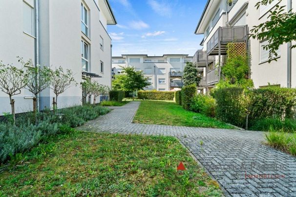 Schöne, moderne 2 Zimmerwohnung in guter Lage von Wiesbaden Dotzheim! - Foto 1