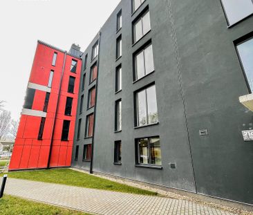 Kawalerka | Psie Pole | ok Kromera - Photo 6