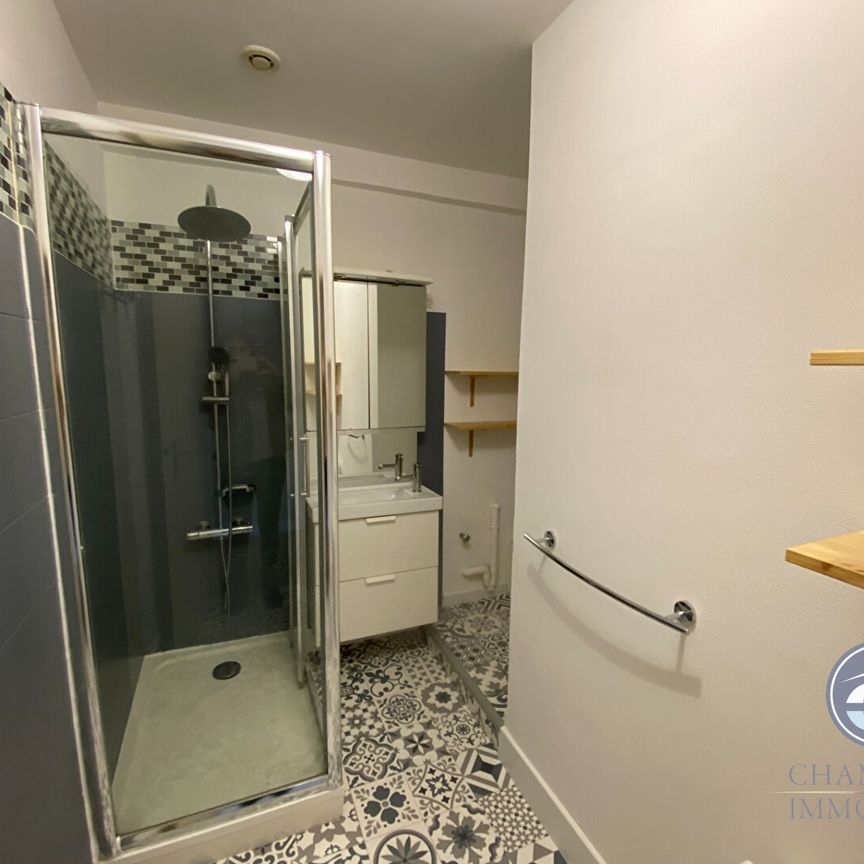 BLOIS Vienne - T2 de caractère - Photo 1