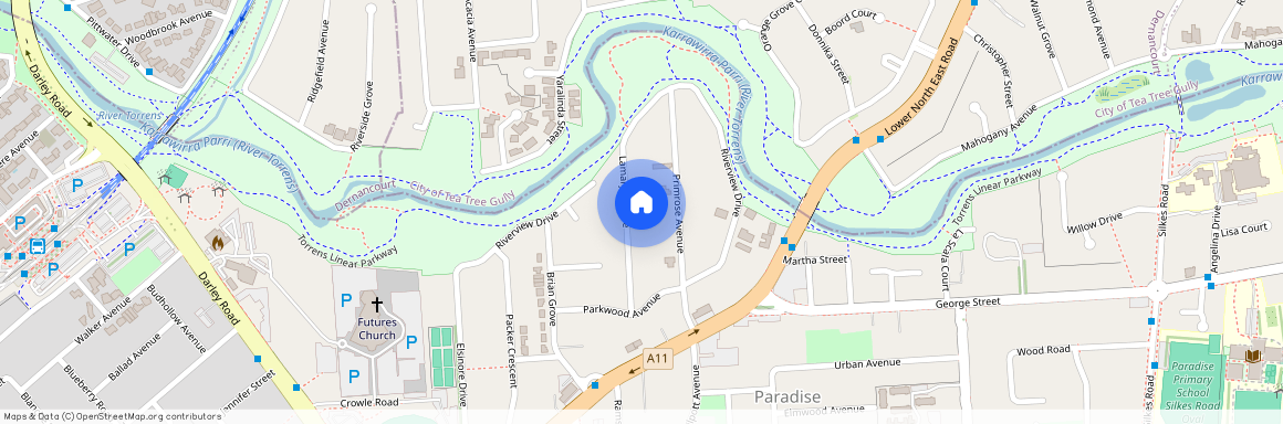 13 Lamary Avenue, SA 5075, Paradise