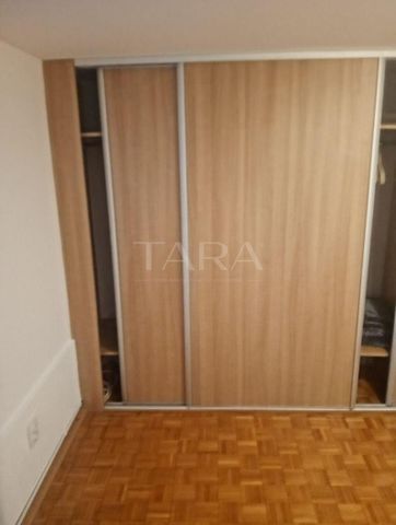 Apartament 4 camere cu gradina de inchiriat Dambul Rotund, zona Lidl - Photo 2