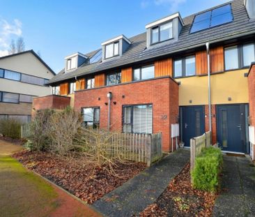 Le Safferne Gardens, Norwich - Photo 6