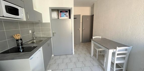 Location Appartement 1 pièce 17m² CHALON SUR SAONE 71100 - Photo 2