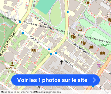 LUNA | 1100 ave Dr. Penfield, Montreal - Photo 1