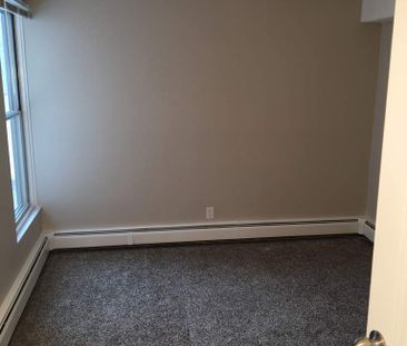 Small Pet Friendly Well Maintained 2 Bedroom Suite - Photo 3