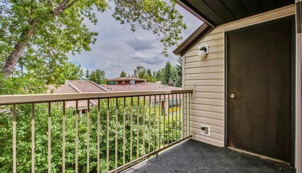 Spruce Grove Lane - Photo 1