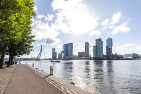 Calandstraat, 3016 CA, Rotterdam - Foto 5